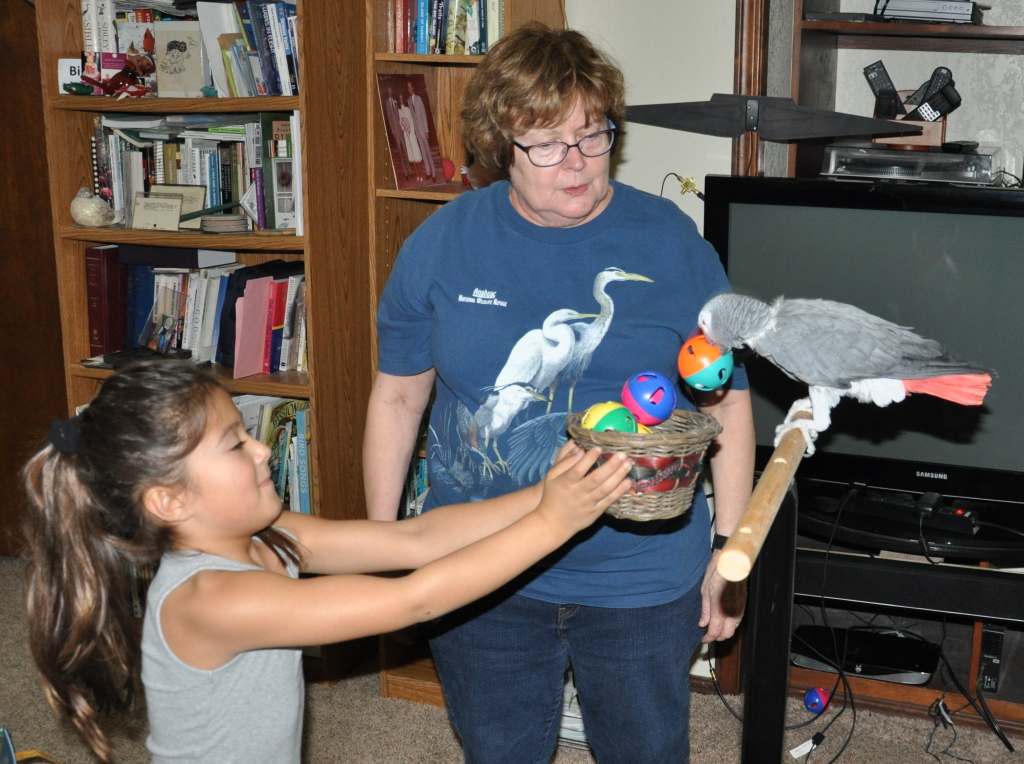 DSC_2163b.JPG