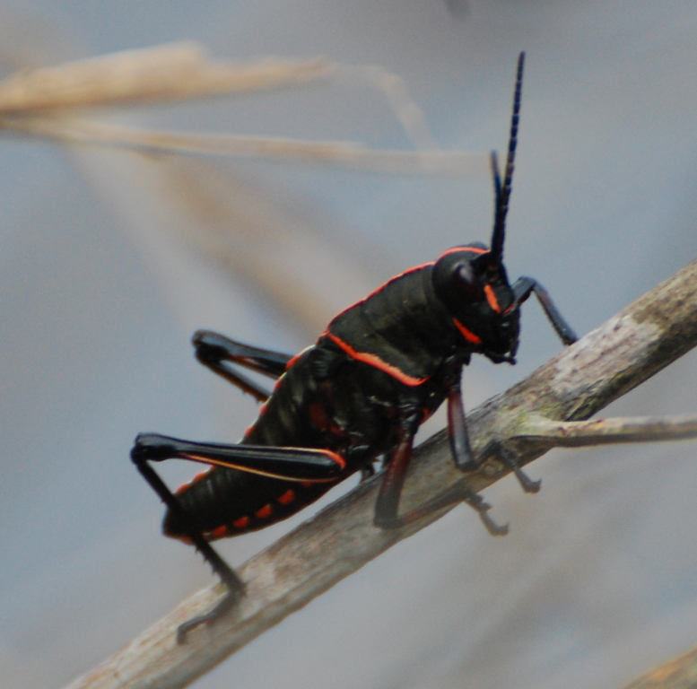 DSC_0014b.JPG