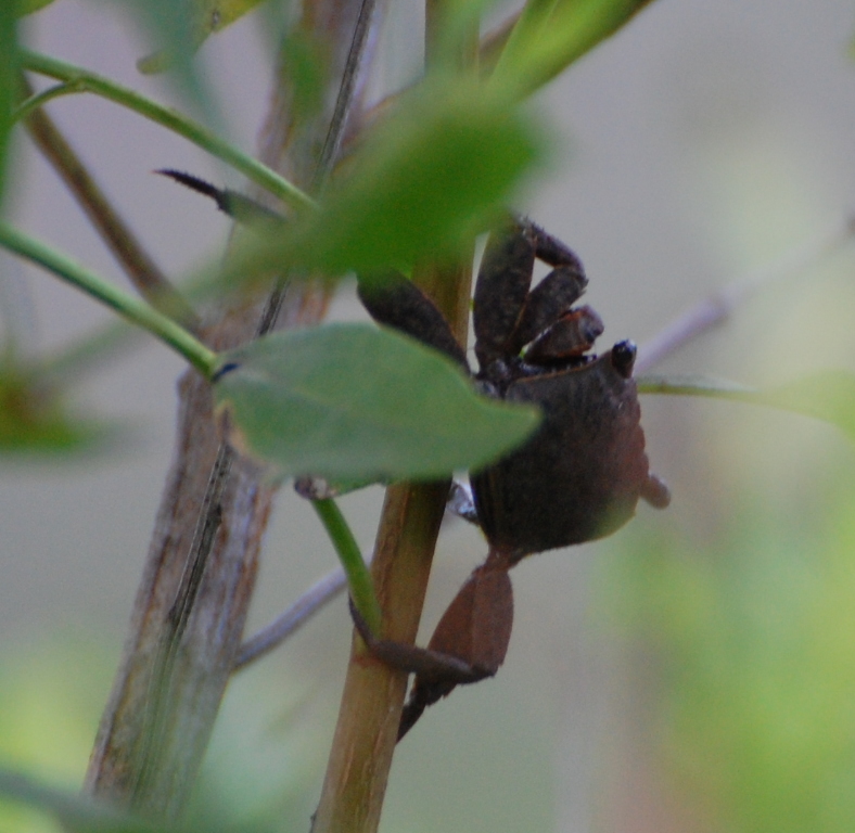 DSC_0057b.JPG