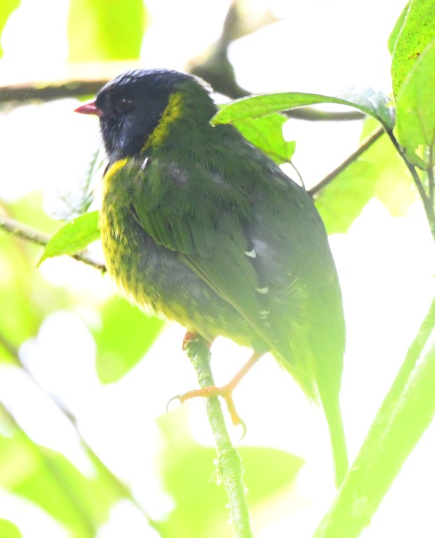 DSC_3097b.jpg