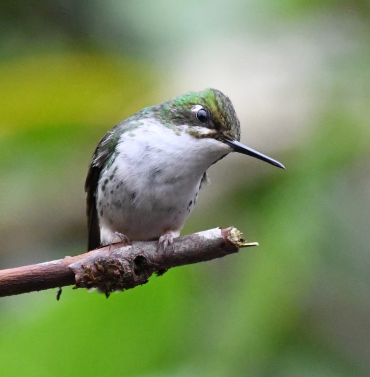 DSC_3847b.jpg