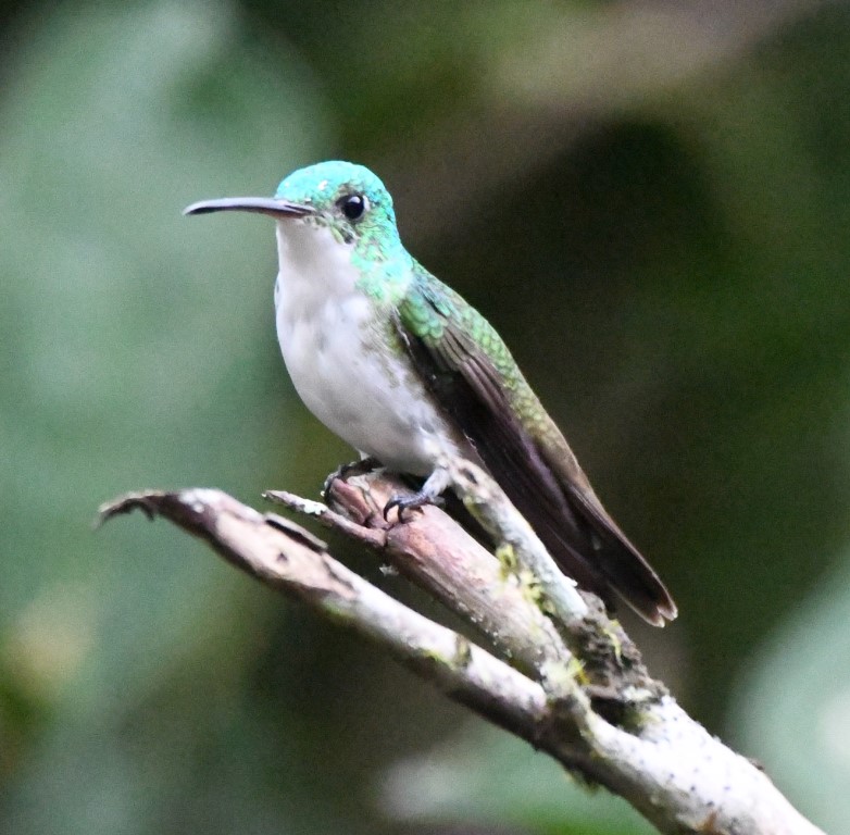 DSC_3947b.jpg