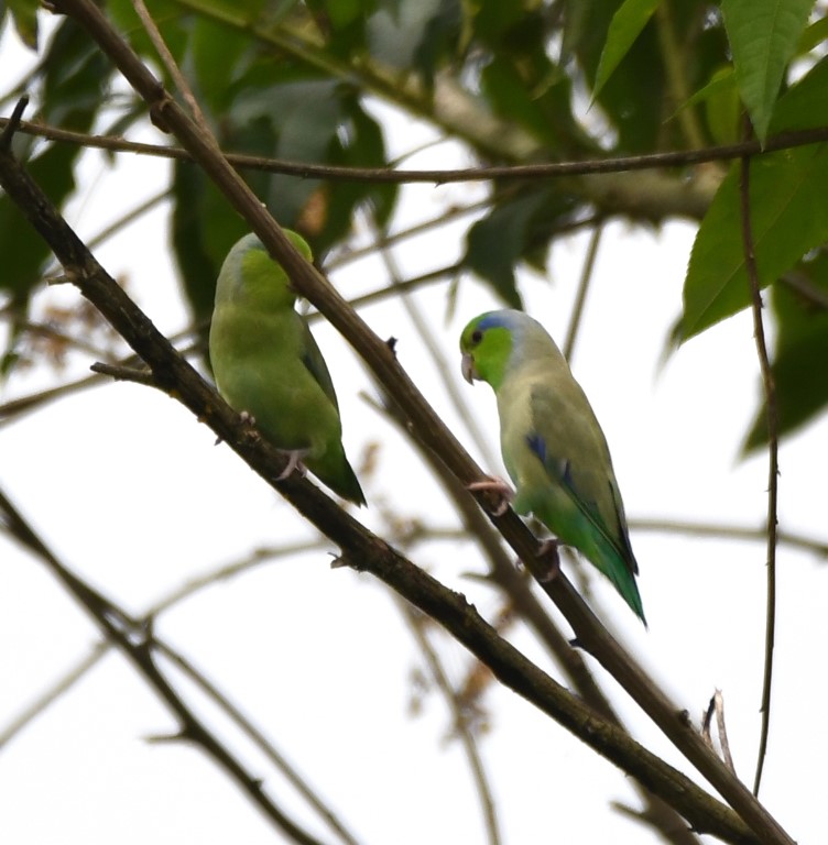 DSC_5734b.jpg