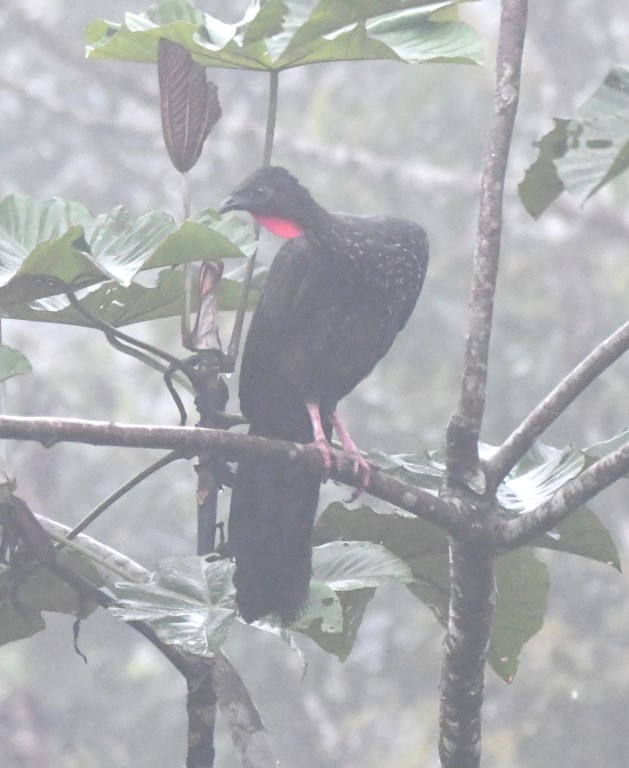 DSC_5905b.jpg