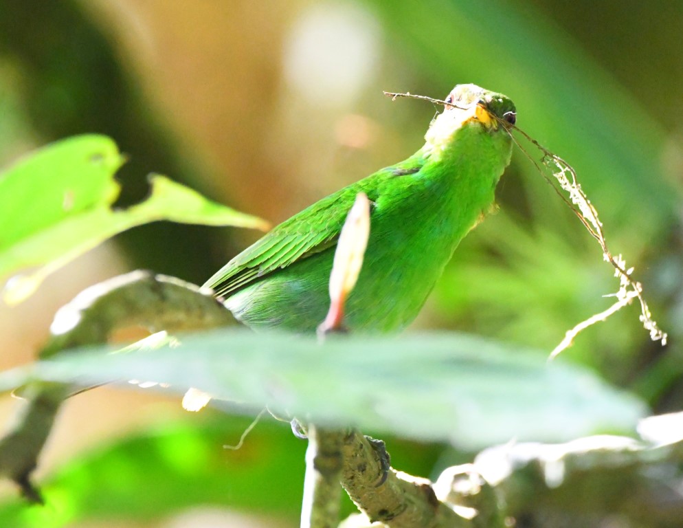 DSC_9883b.jpg
