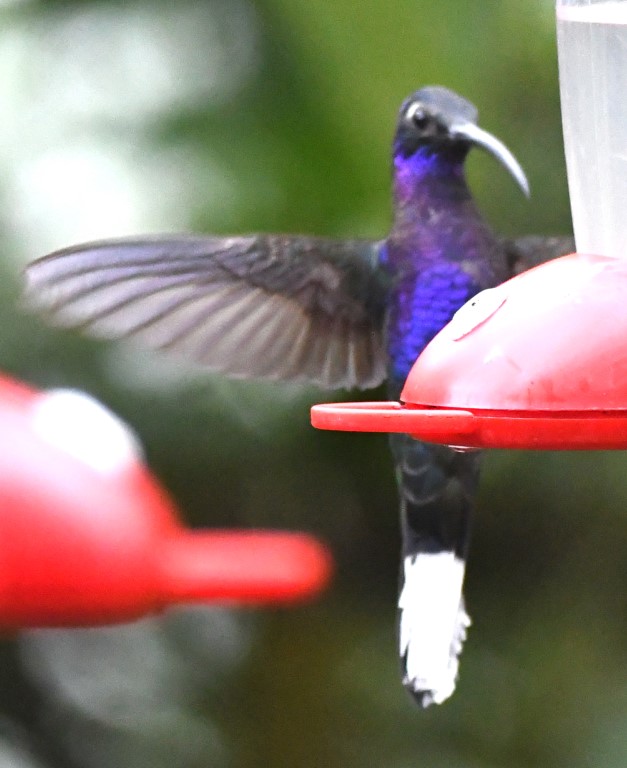 DSC_1721b.jpg