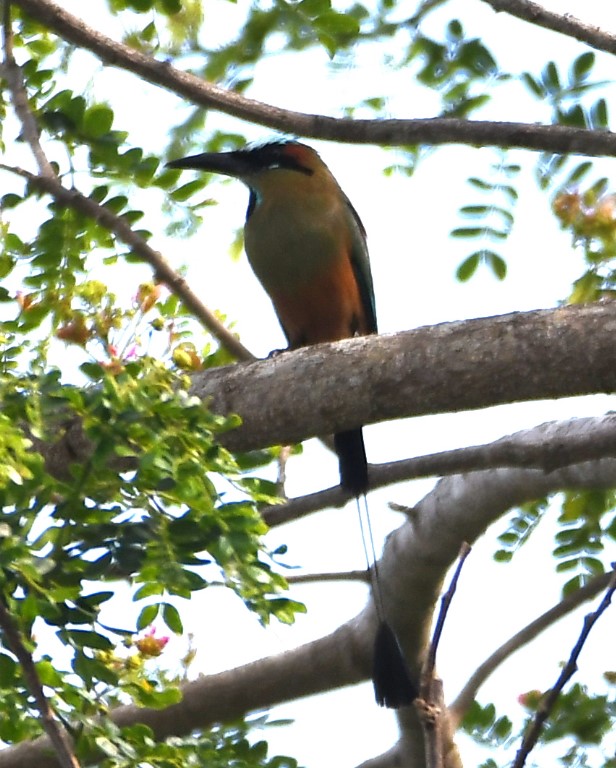 DSC_1834b.jpg