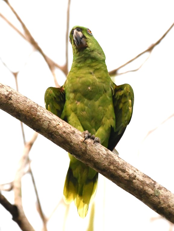 DSC_2228b.jpg