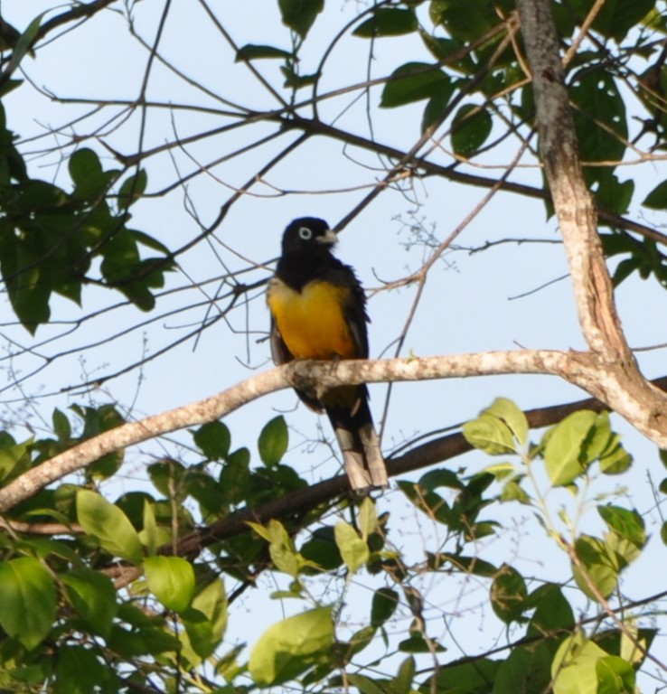 DSC_0141b.jpg