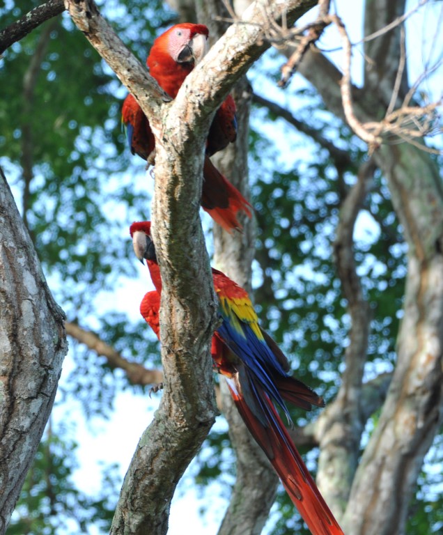 DSC_0224b.jpg