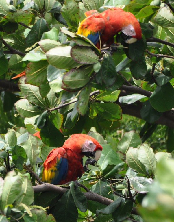 DSC_0860b.jpg