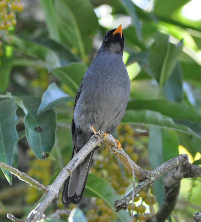 DSC_0319b.jpg