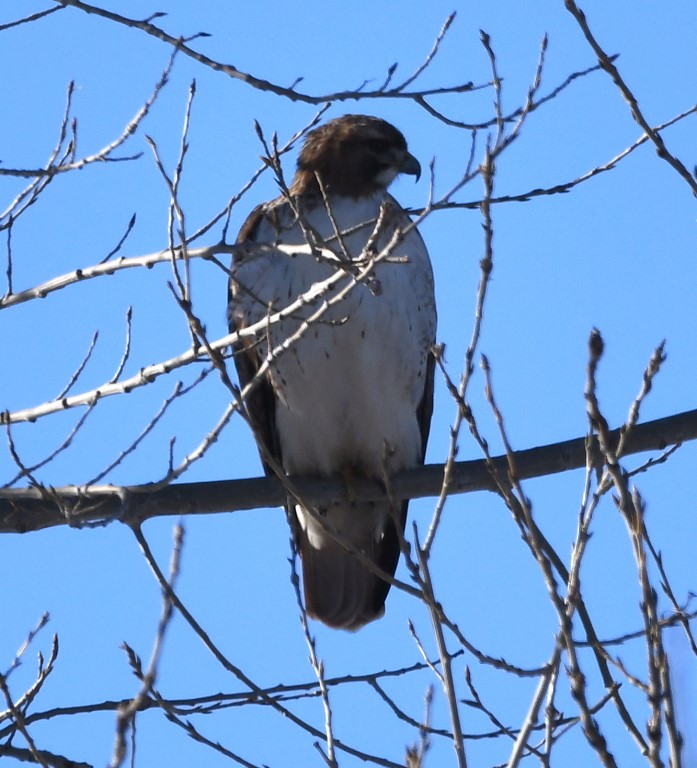 DSC_1880b.jpg