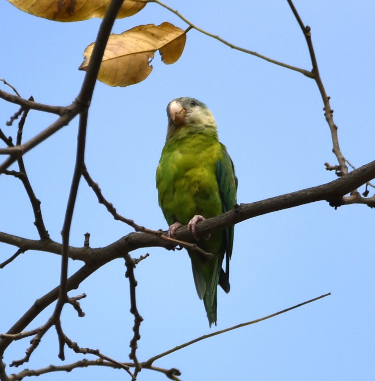 DSC_6457b.jpg