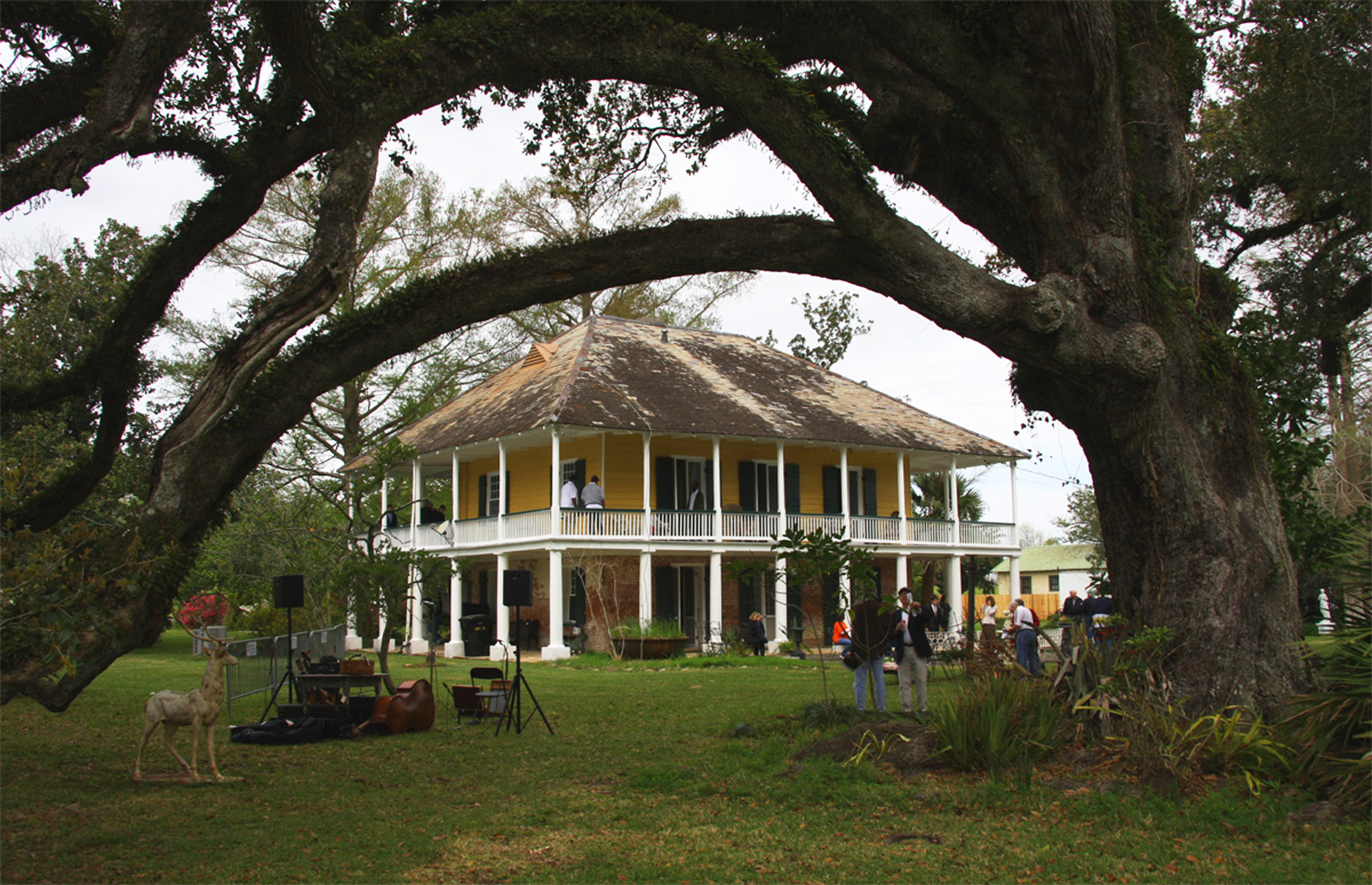 Mary Plantation 