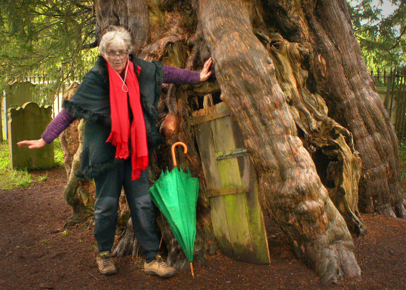 Crowhurst Yew