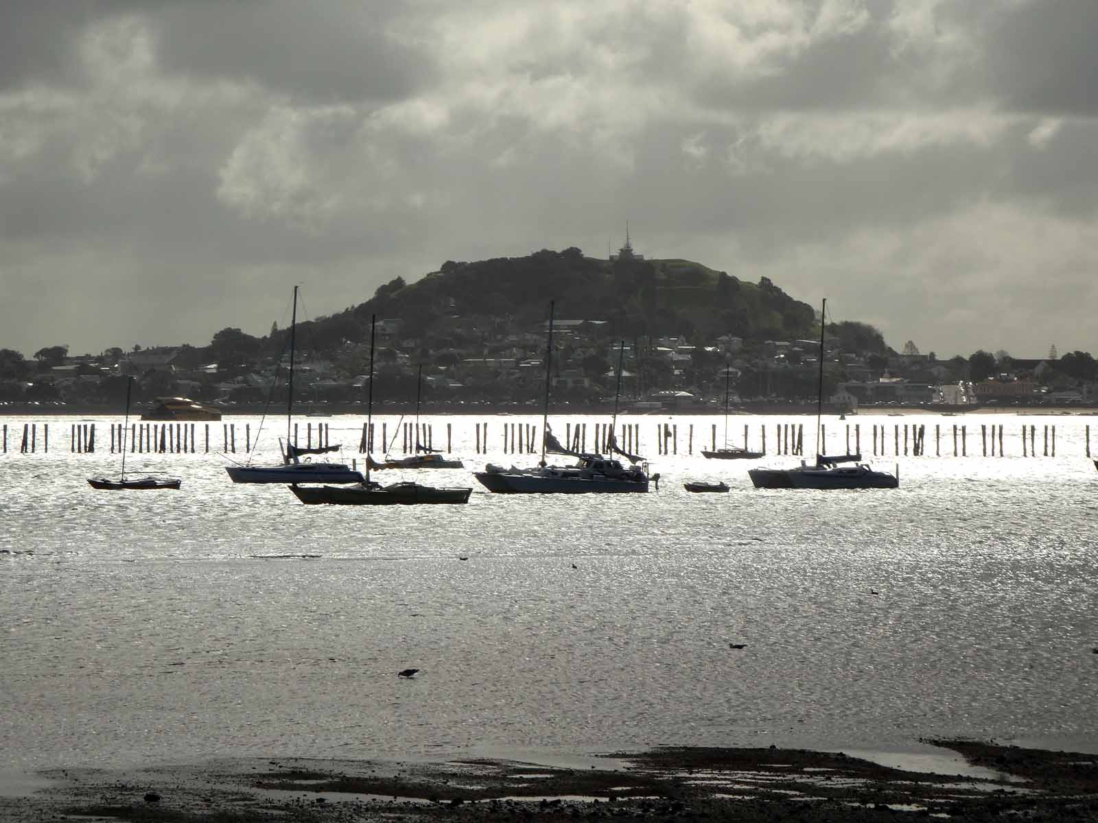 Mount Victoria in Devonport