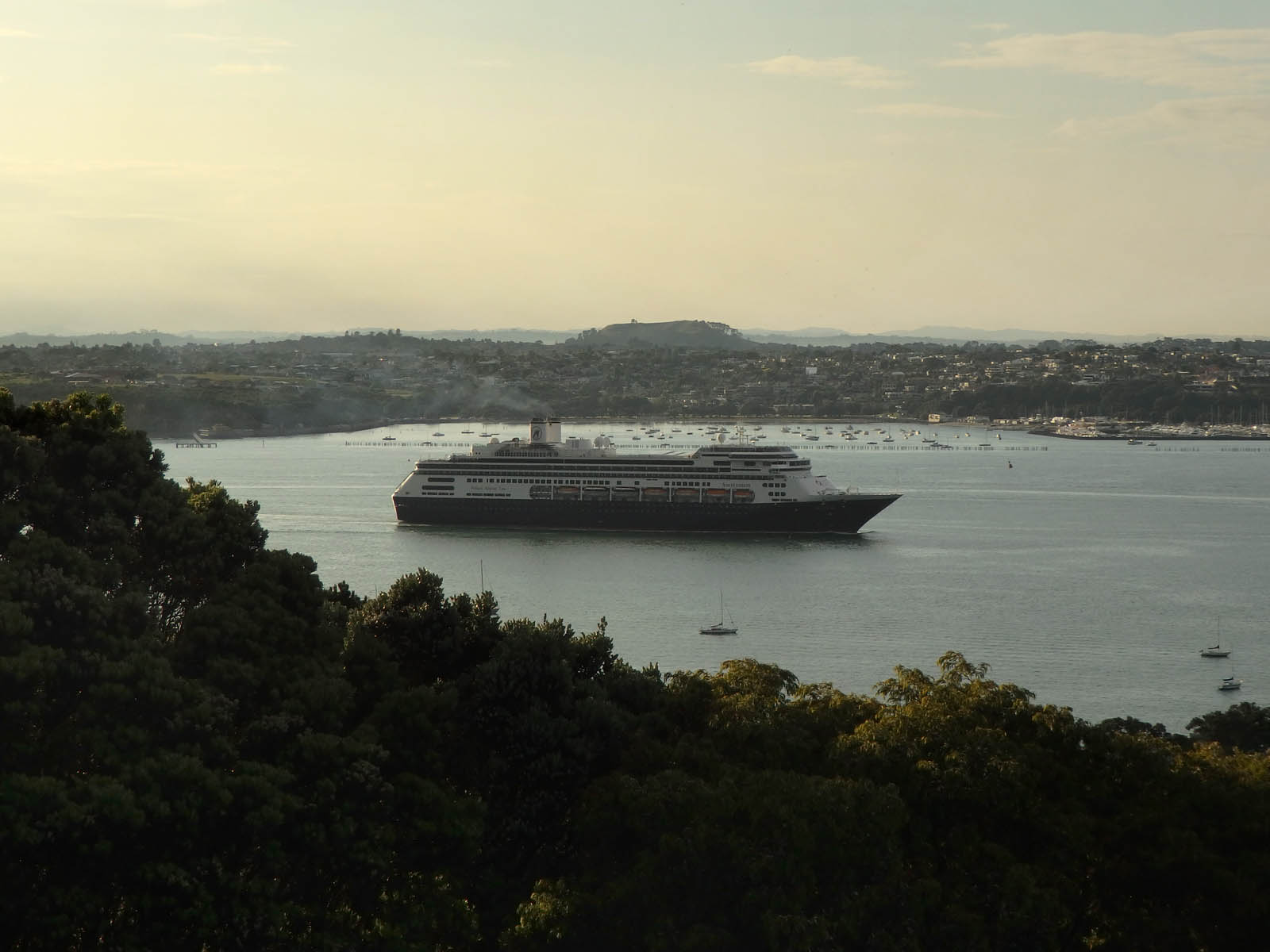 Cruise Ship AMSTERDAM 4