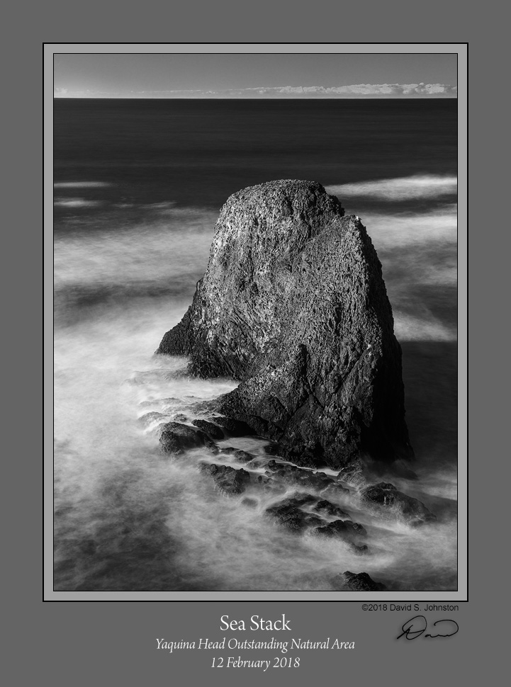 Sea Stack Yaquina Head BW.jpg