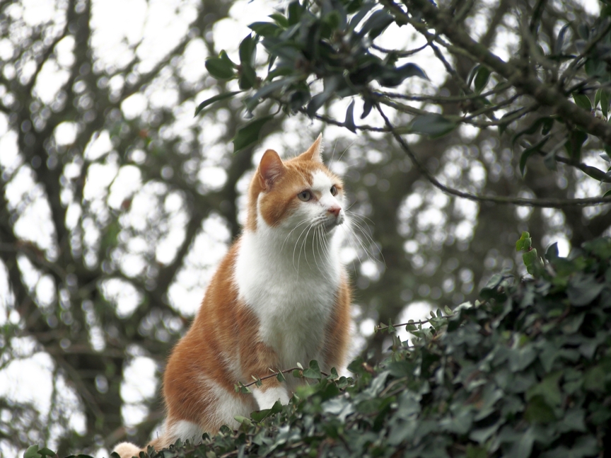On the look out