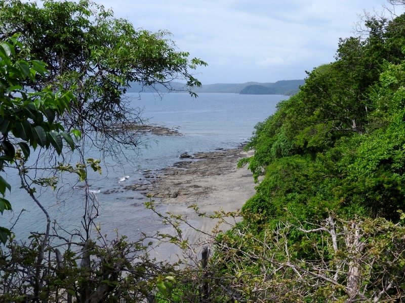 The Beach (looking north)