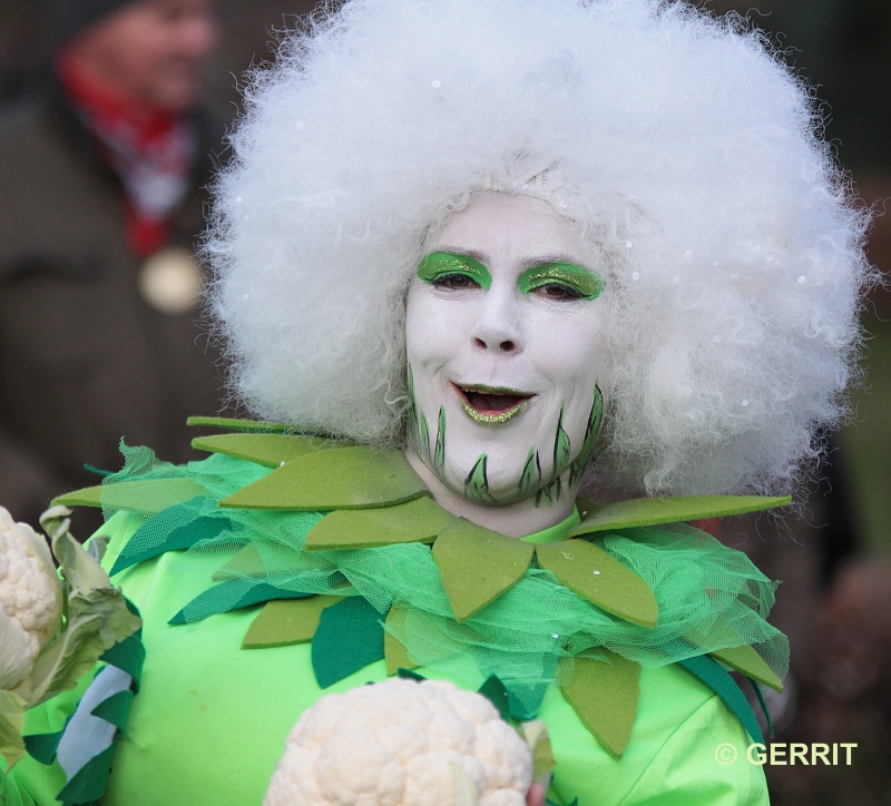 Carnaval - Kempenoptocht 2018