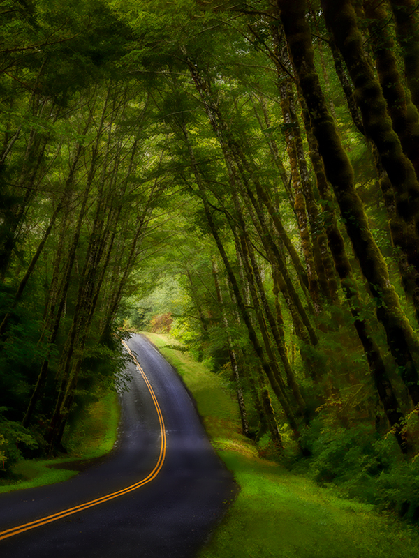 Hoh_drive_