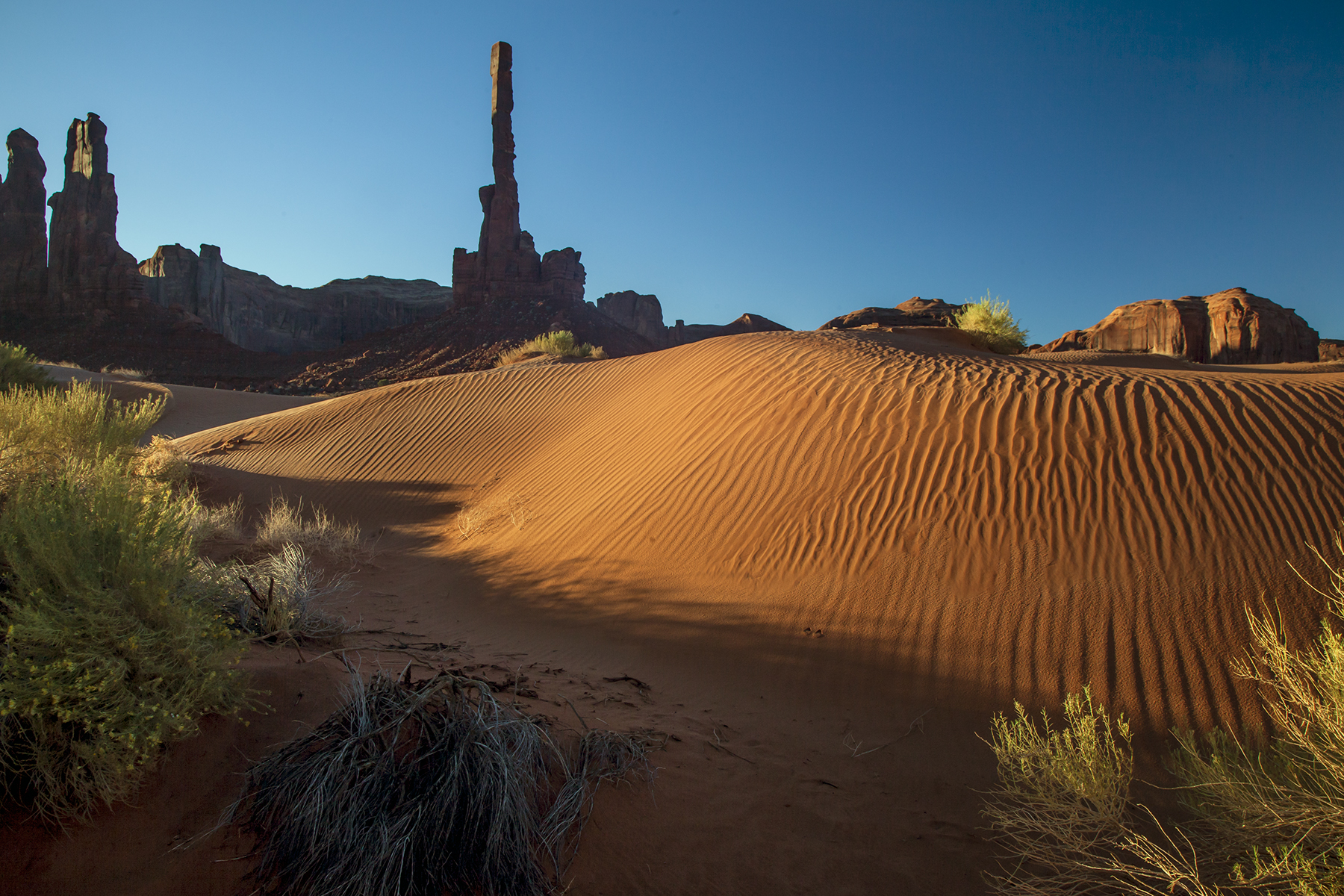 The Totem Pole Rock Formation In Monument Valley, The Navajo Nation, Arizona