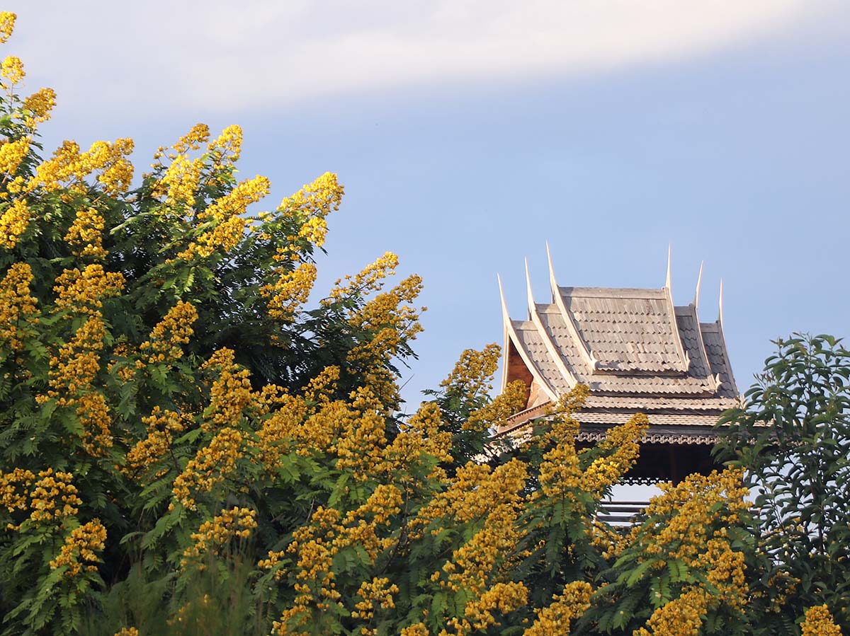 yellow blossom pavillion.jpg