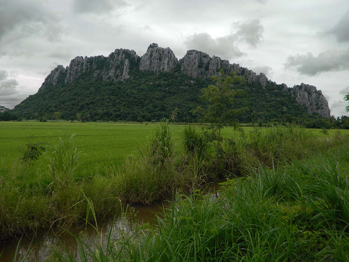 fields and ridge.jpg
