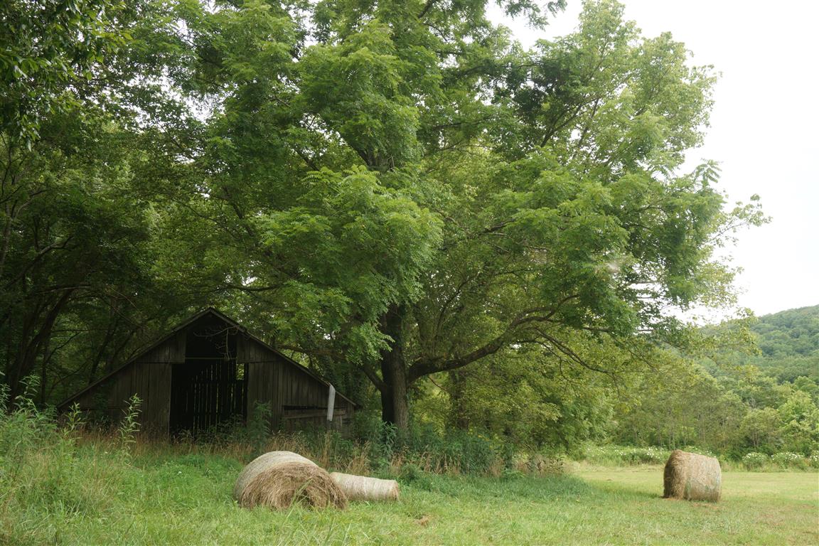 Whiteley Hole, Old Barn