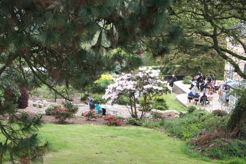 Navas Hill Garden NGS