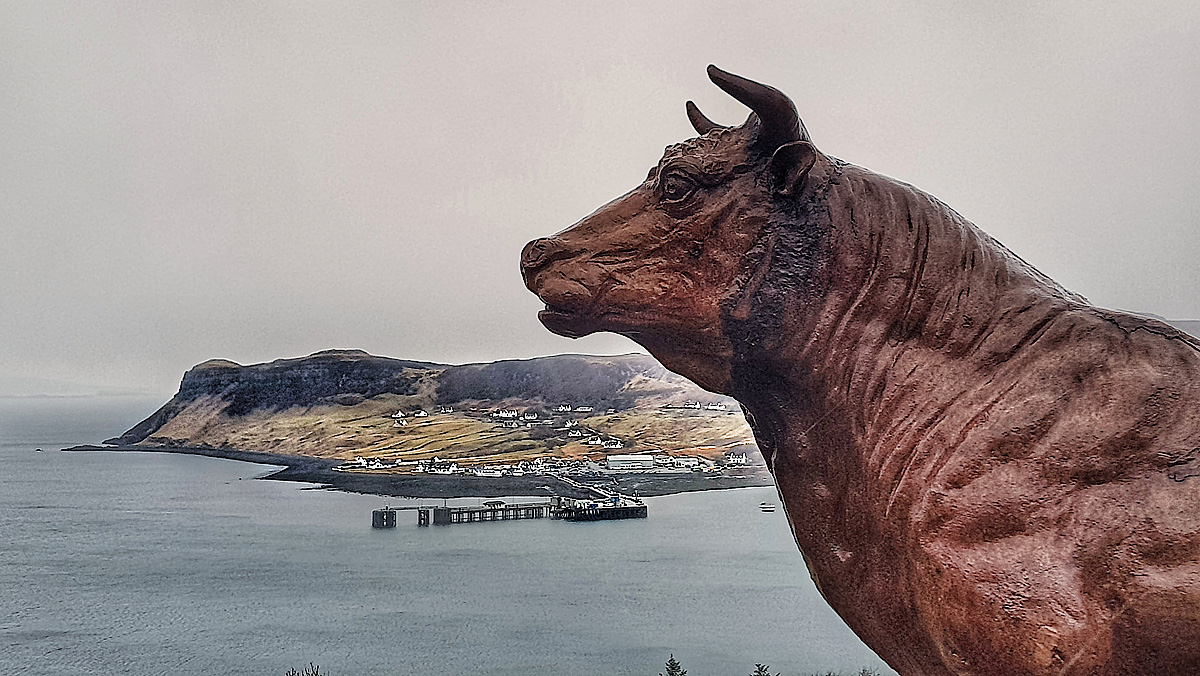 20180306_160159-01.jpg