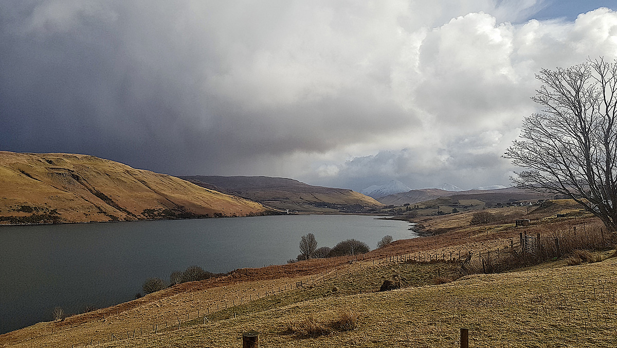 20180309_111907-01.jpg