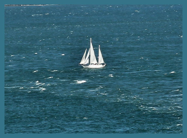 Sailing on the Bay.jpg