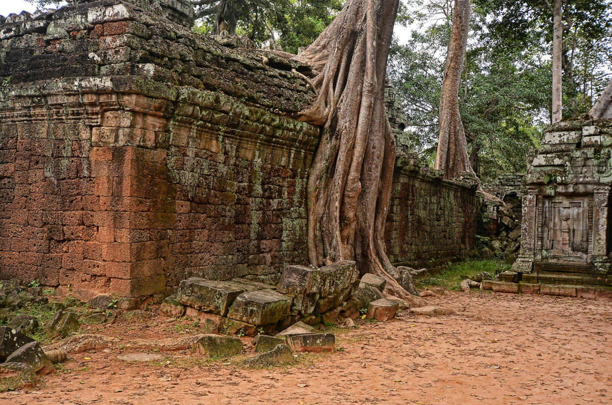 Ta Prohm