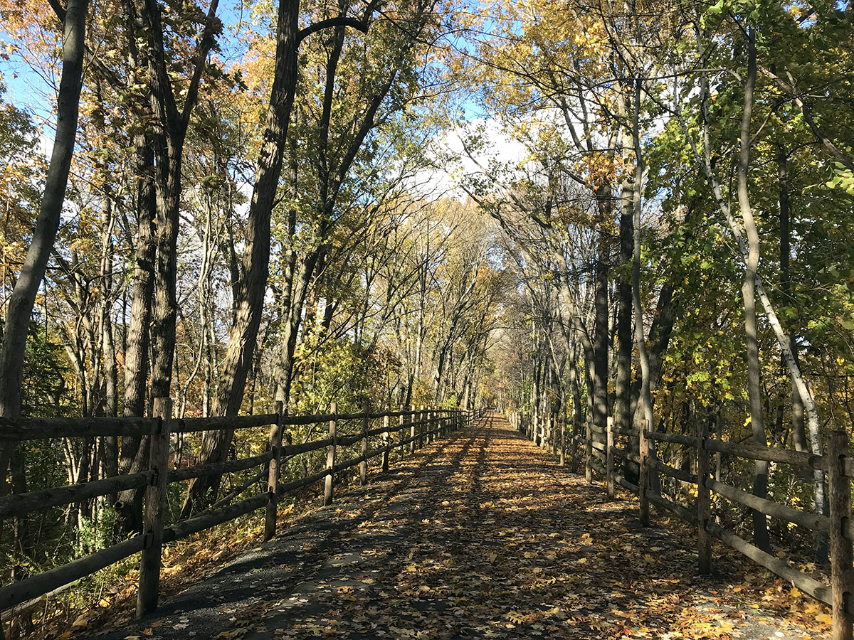 biketrail18.jpg