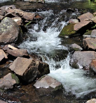 Cascades in the Creek