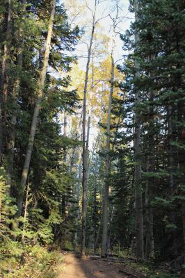 Laramie River