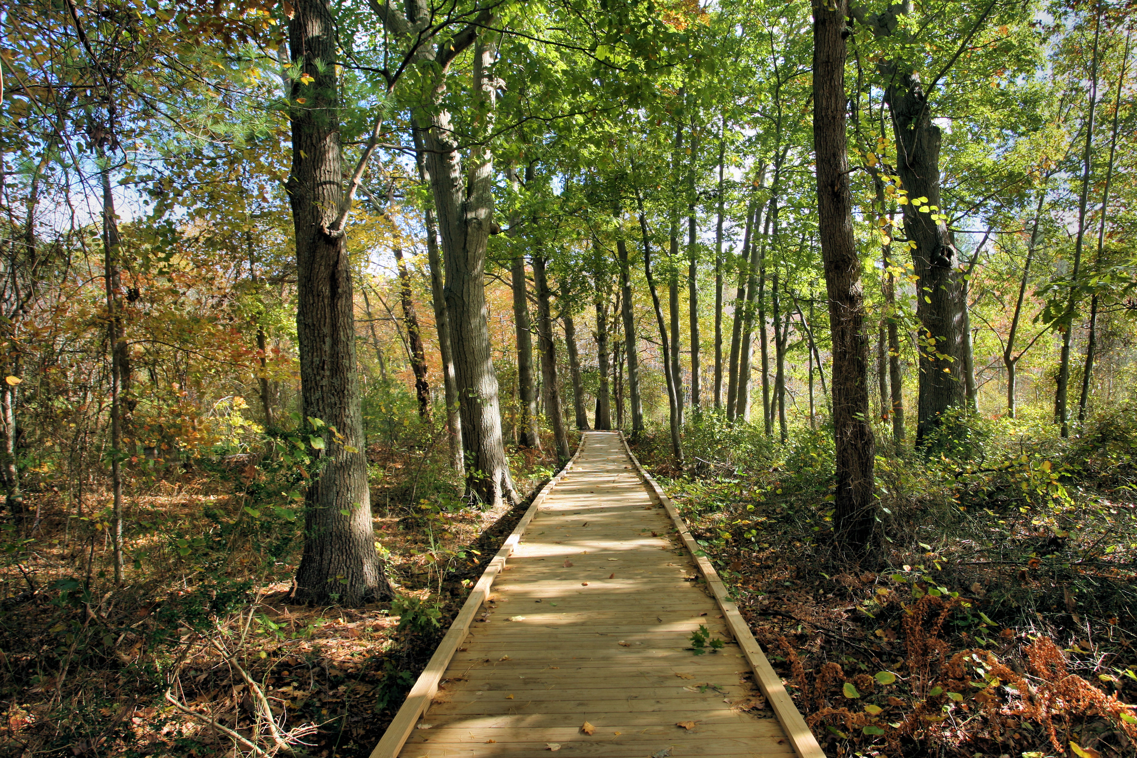 Needham Reservoir Trail