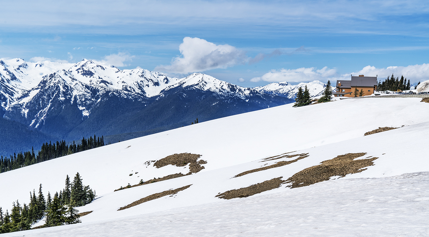 Hurricane Ridge Lodge
