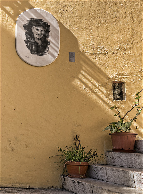 A Vignette of Light and Shadow