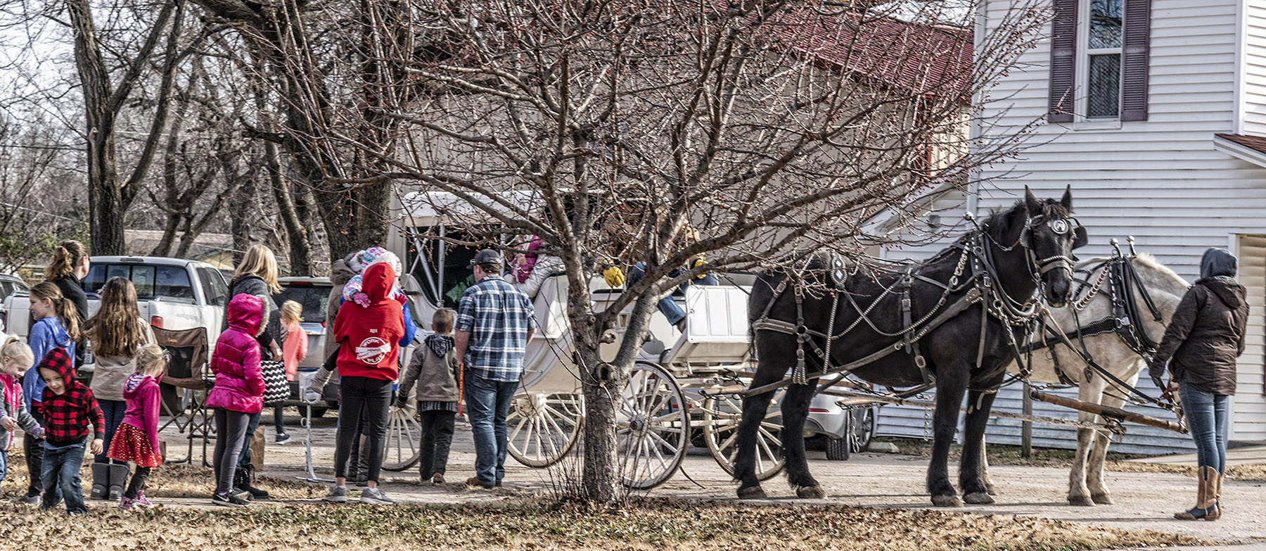 On line For a Buggy Ride