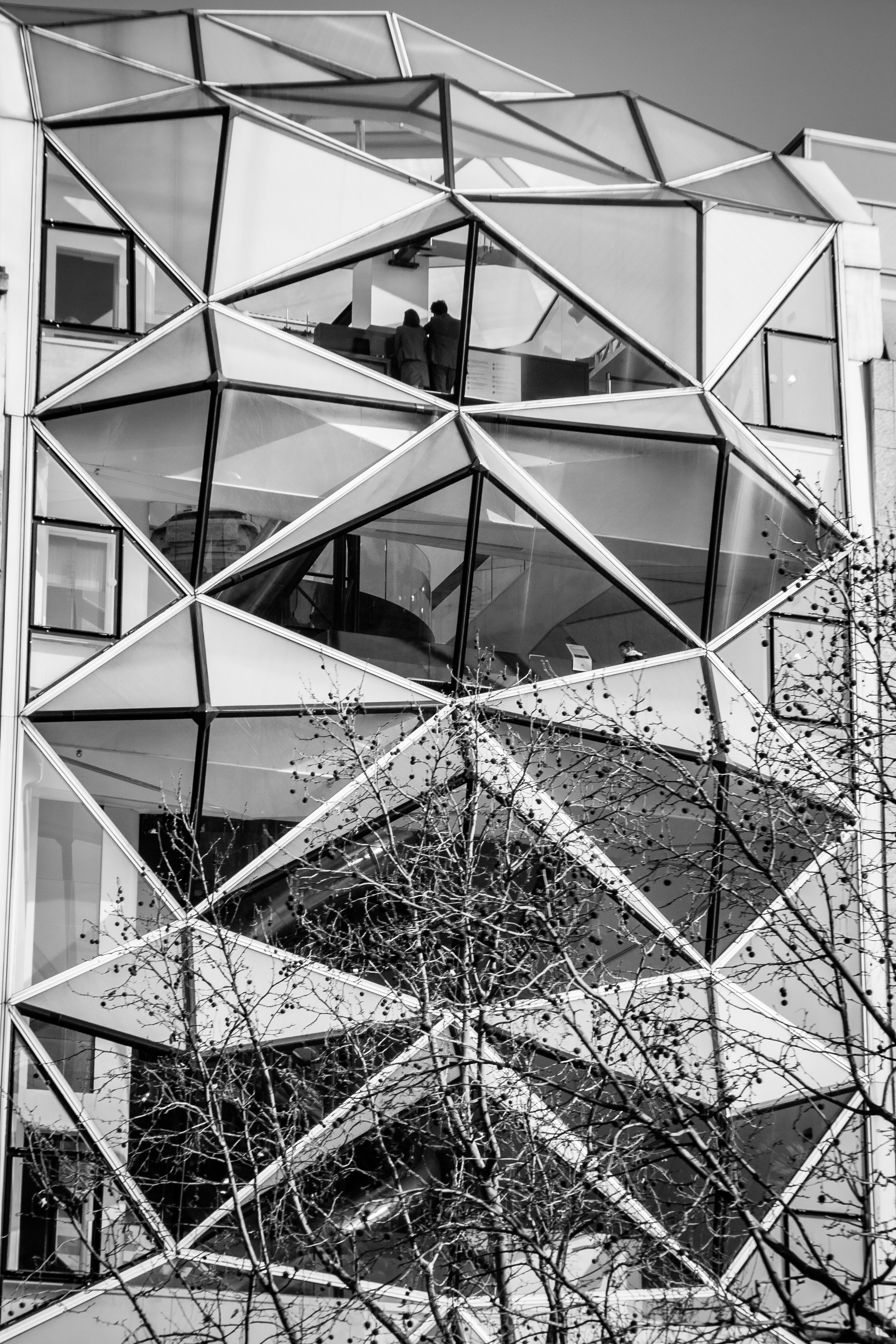20150219_0091 Paris.jpeg