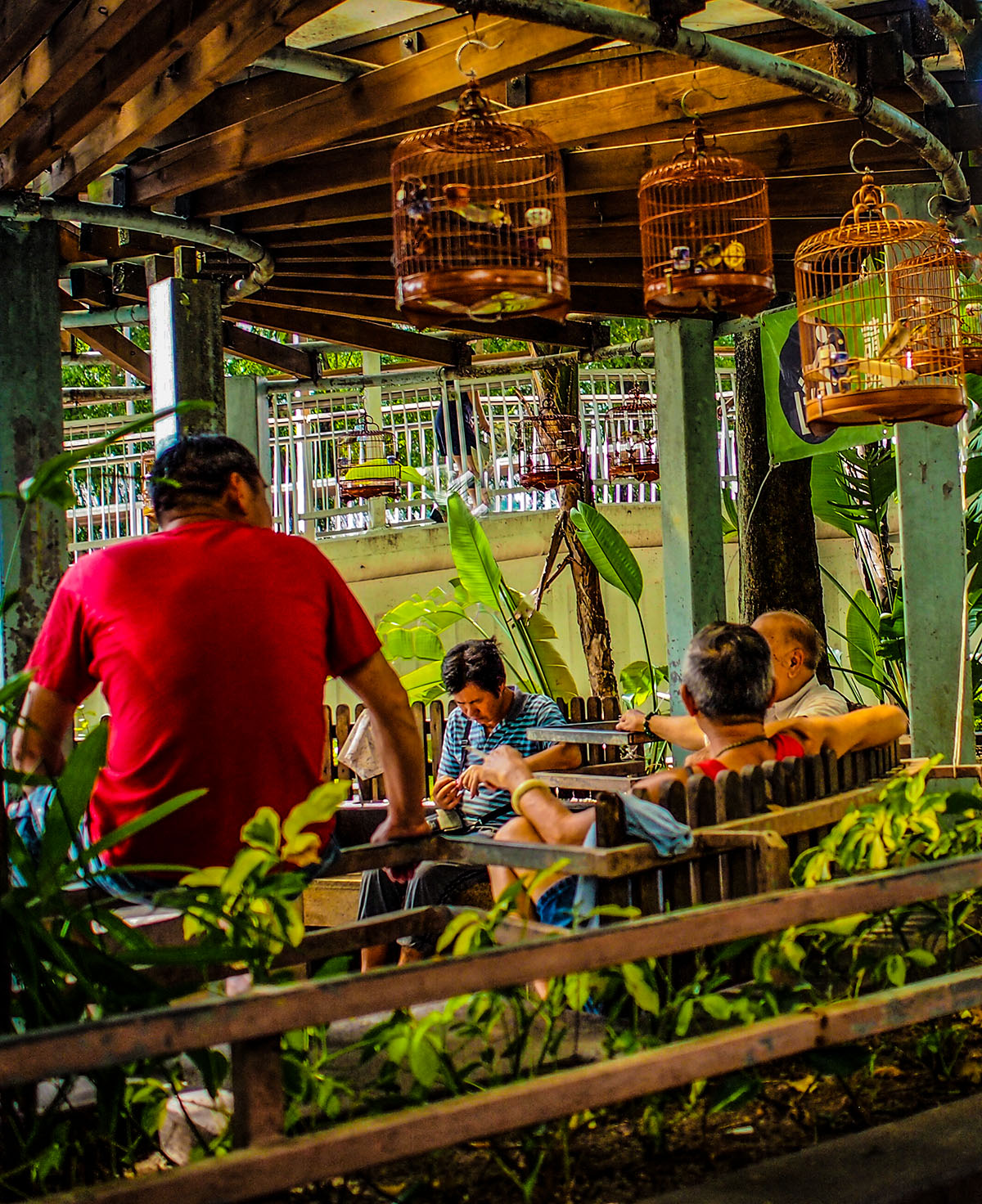 Cages, men and their birds.  Hong Kong Island South