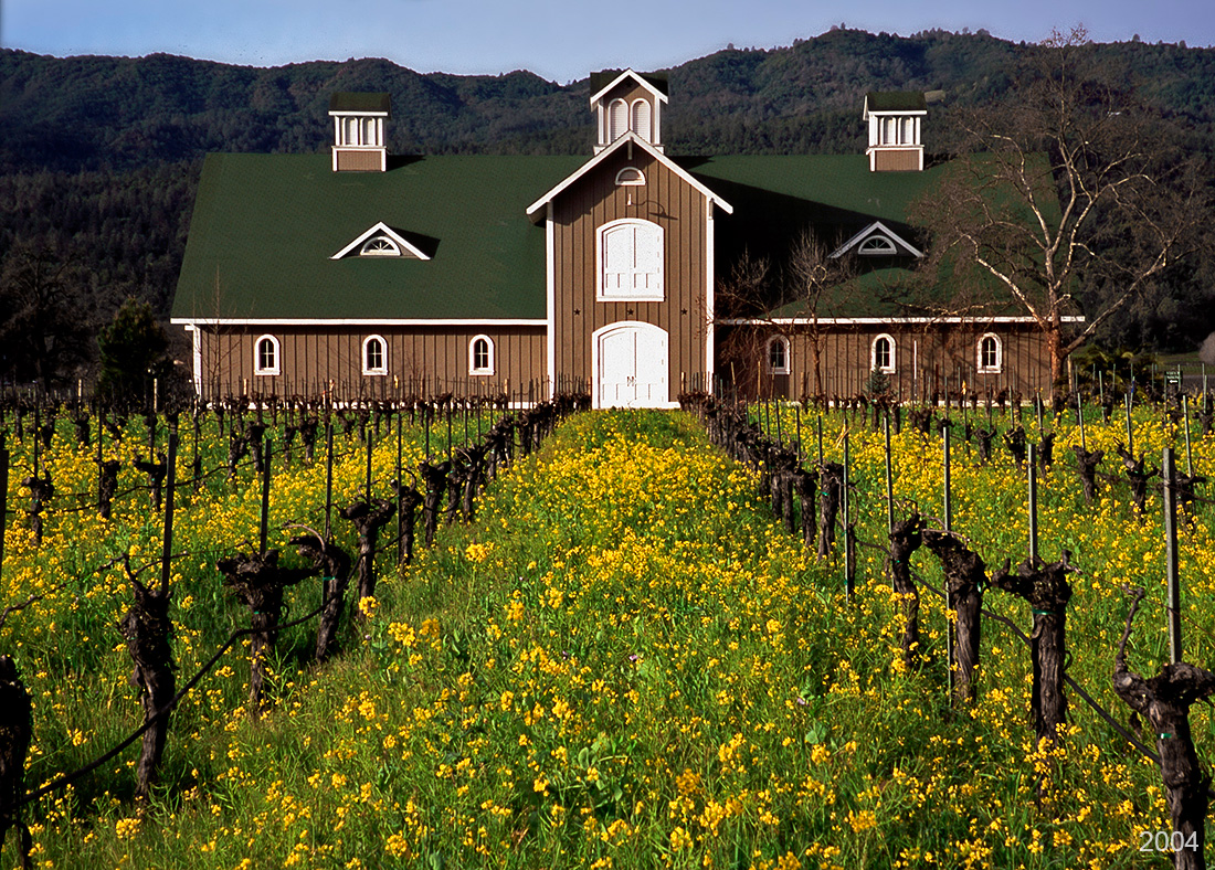 Napa Valley