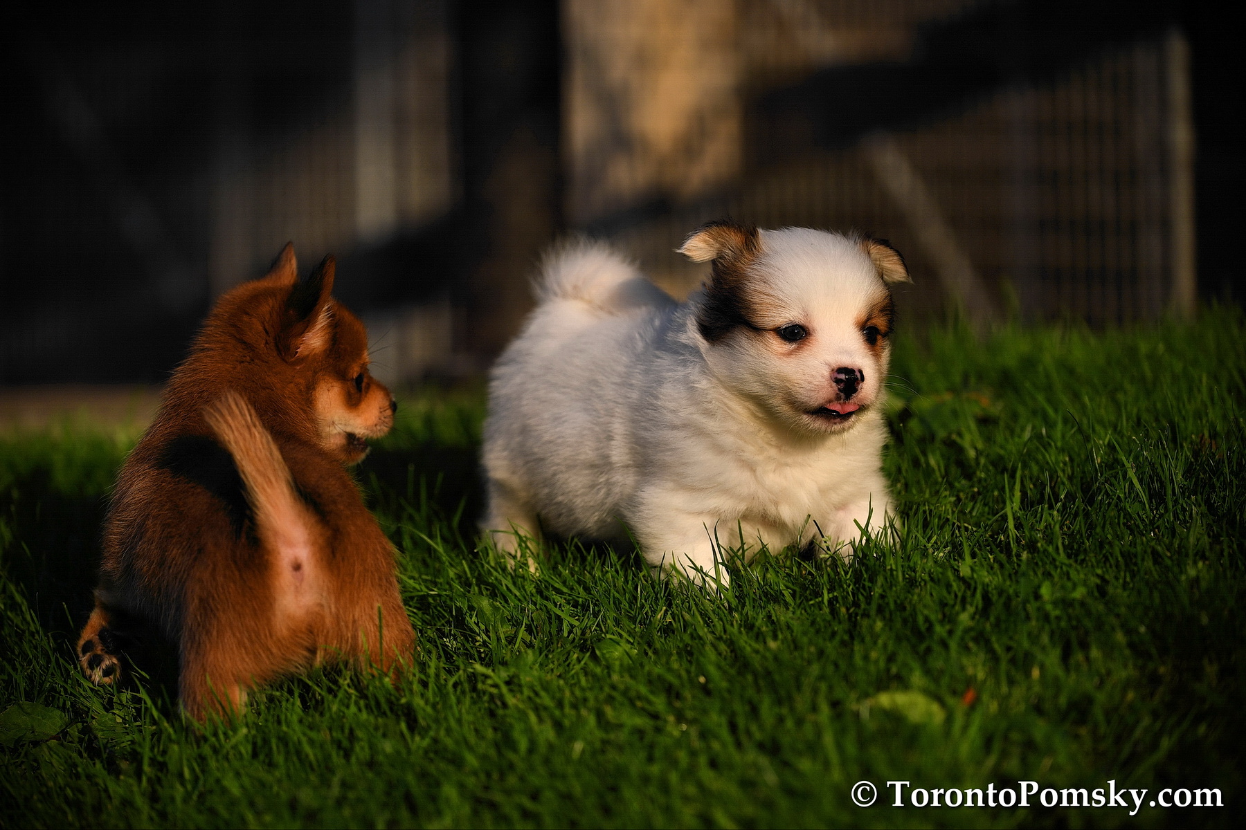 Aug4_18_038.jpg