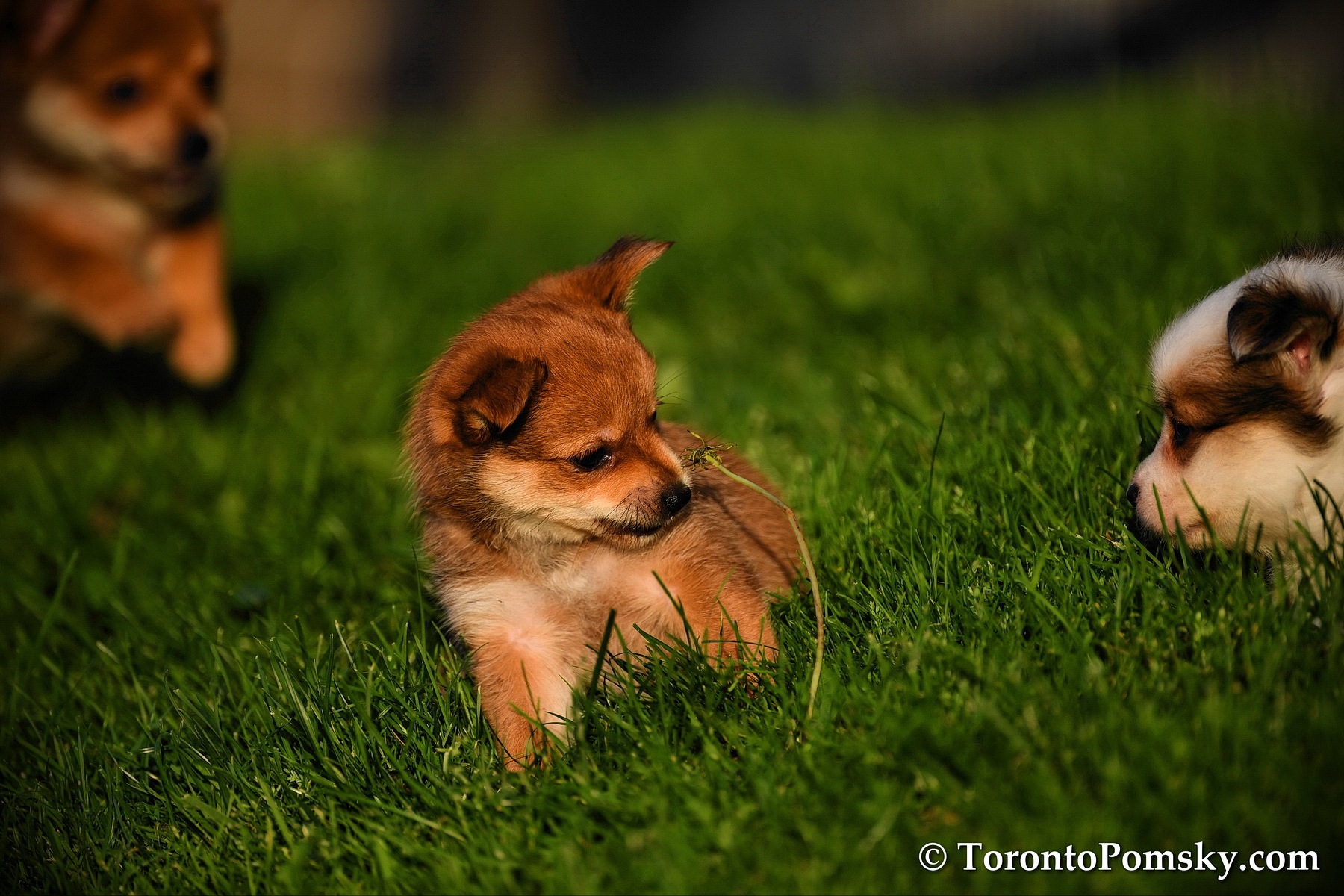 Aug4_18_059.jpg