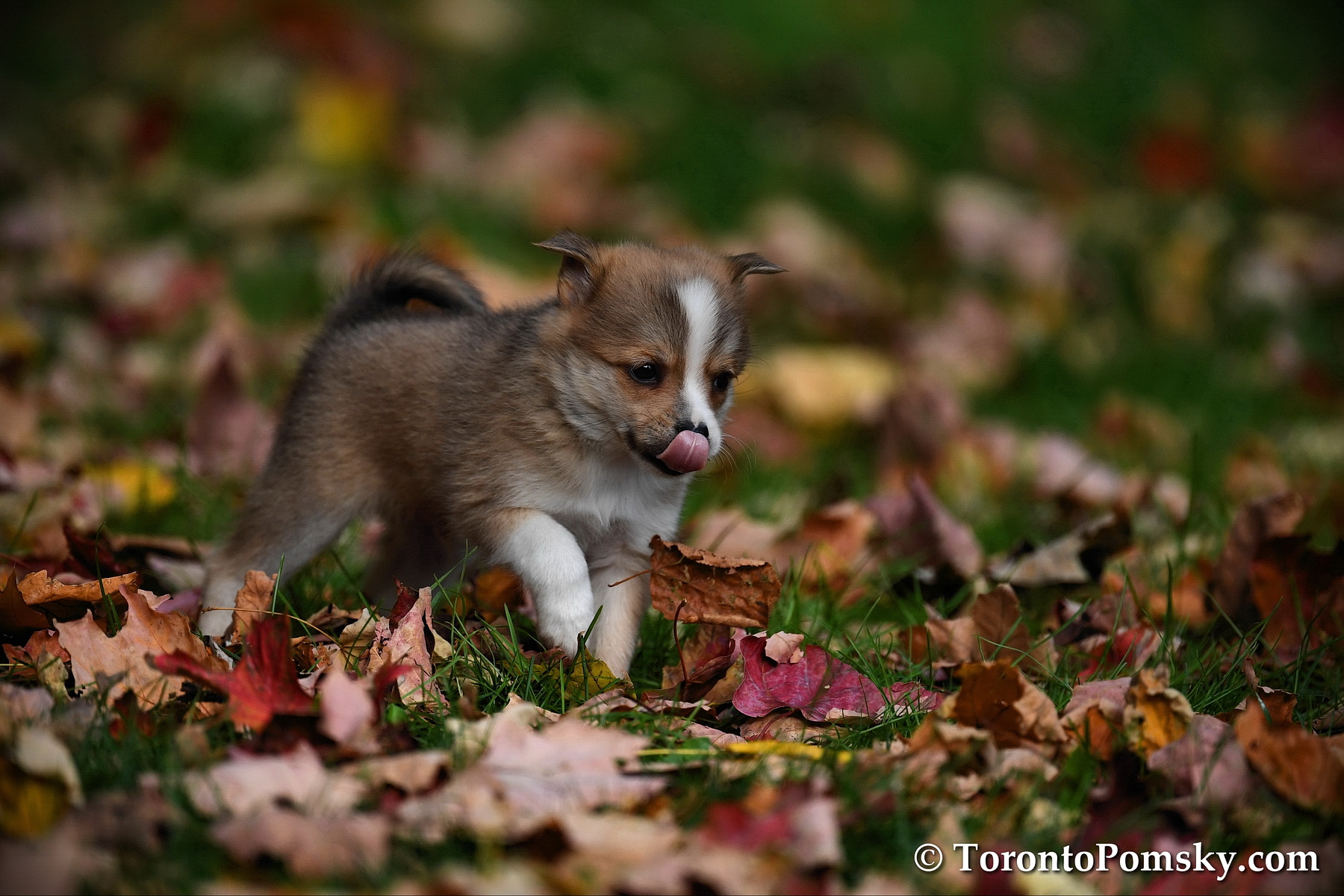 Oct25_18_077.jpg