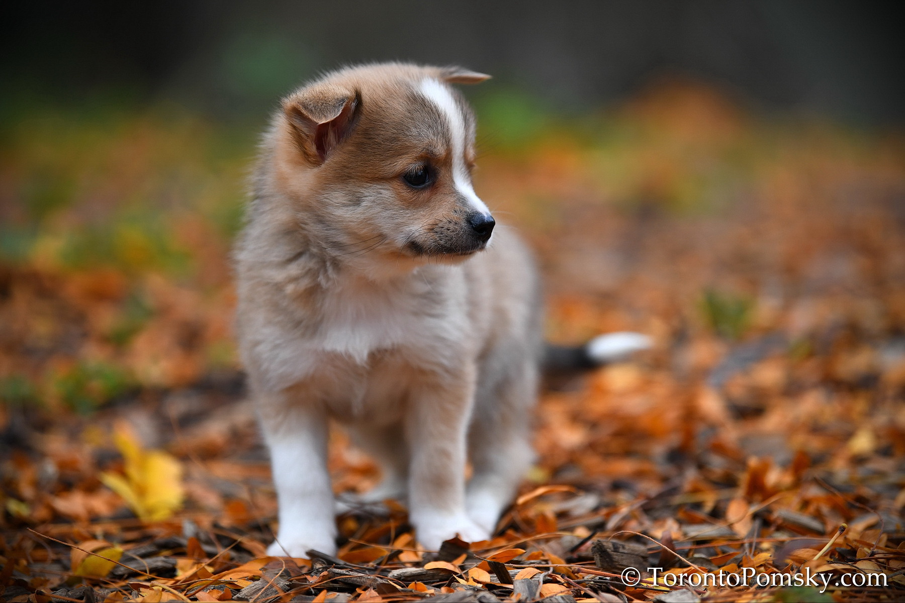 Oct24_18_126.JPG